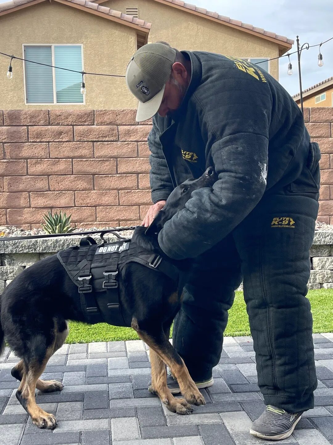 Trainer in protective gear with dog