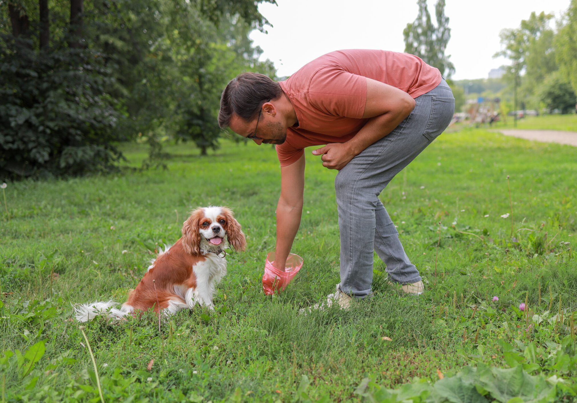 A male dog owner collects his pet's excrement in a plastic bag in a park to maintain order. concept sanitation, veterinary services.